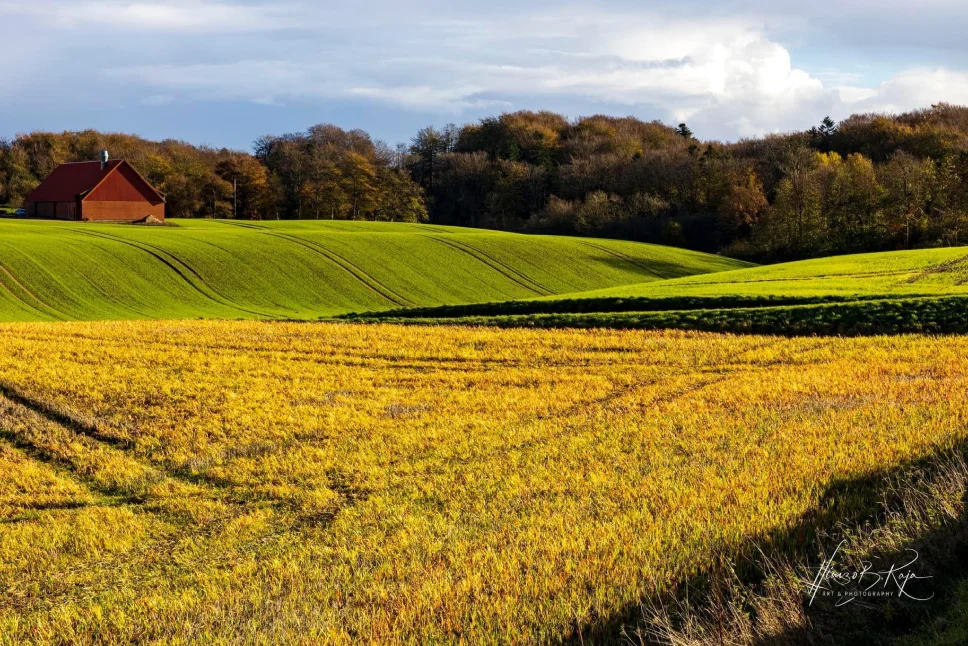 Herbstliche Ackerlandschaft mit rotem Bauernhaus, grünen Hügeln und gelb gefärbten Feldern