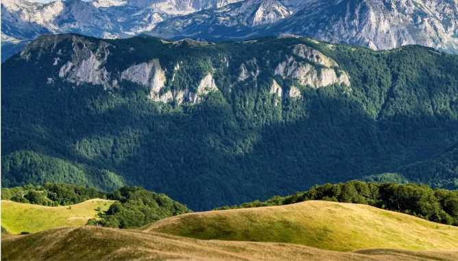 Schneebedeckte Berggipfel über dicht bewaldeten Hängen und grasbewachsenen Hügeln