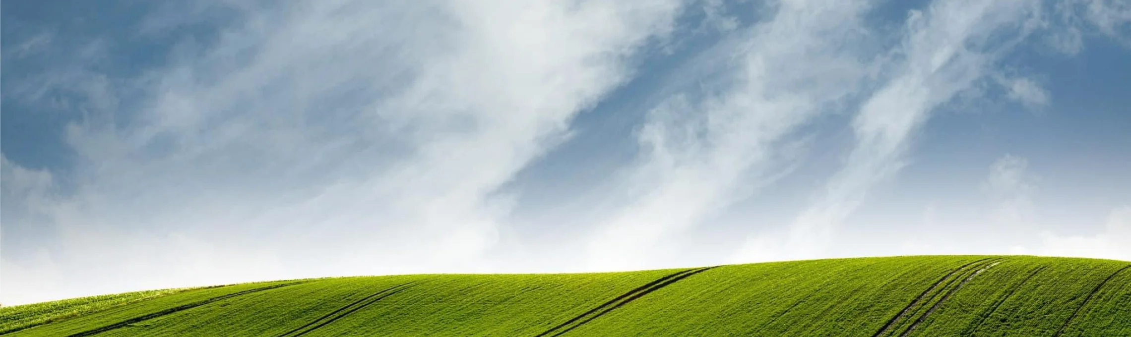 Grüner Hügel mit Feldspuren unter weitem Wolkenhimmel