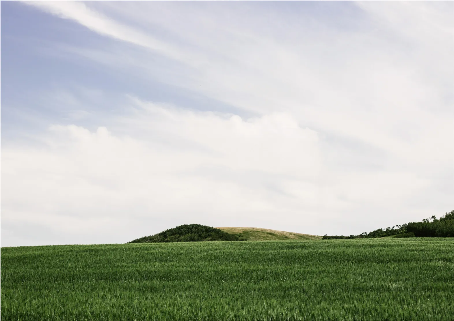 Grünes Feld vor kleinem bewaldeten Hügel unter hellem, leicht bewölktem Himmel